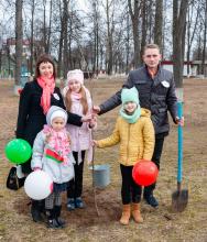 «Парк семейных деревьев»: Кировск