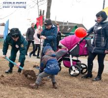 «Парк семейных деревьев»: Кировск