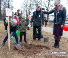 «Парк семейных деревьев»: Кировск