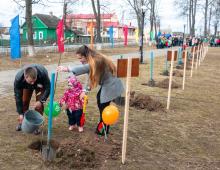 «Парк семейных деревьев»: Кировск