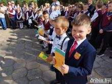 Дрибинский район