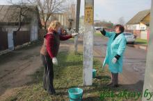 Осиповичский район