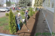 Осиповичский район