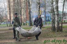 Осиповичский район