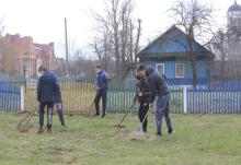 Дрибинский район
